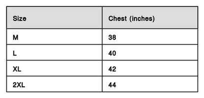 Men Multicolored Polyester Blend Slim Fit Polos T-Shirt (Pack of 2)